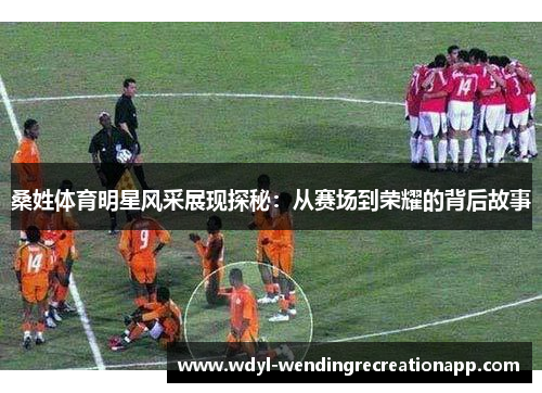 桑姓体育明星风采展现探秘：从赛场到荣耀的背后故事