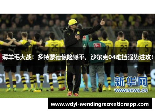 薅羊毛大战！多特蒙德惊险憾平，沙尔克04难挡强势进攻！
